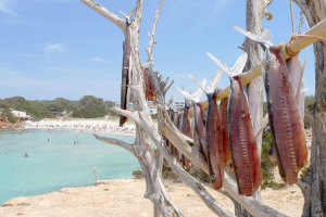 formentera island