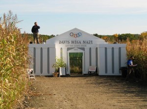 davis mega maze