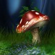 как растут грибы в лесу