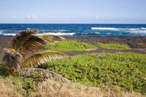 black sand beach