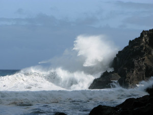 playa de nogales