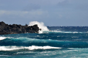 punaluu black sand beach hawaii island