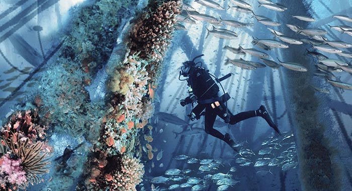 экосистема кораллового рифа