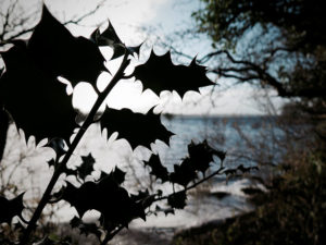 Lough Derravaragh