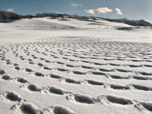 Snow Drawings in Colorado