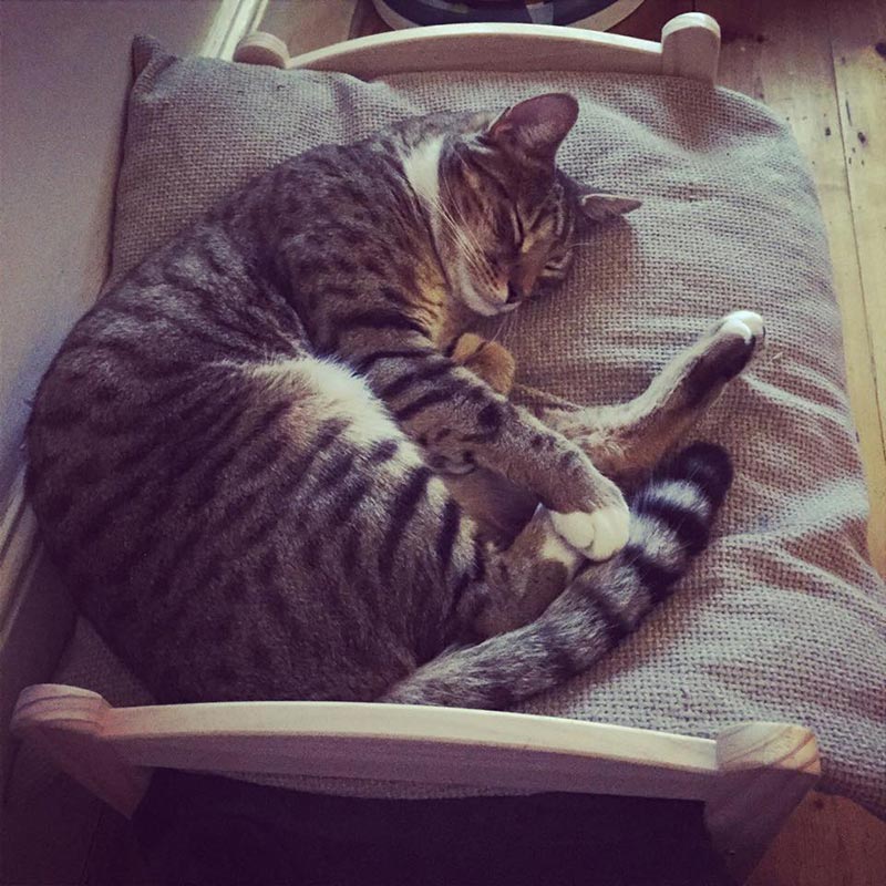 кроватка для кота