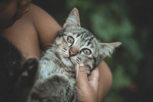 мудрость дня на каждый день 39 6