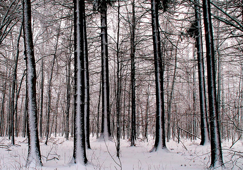 Польша зимой отдых фото видео 26