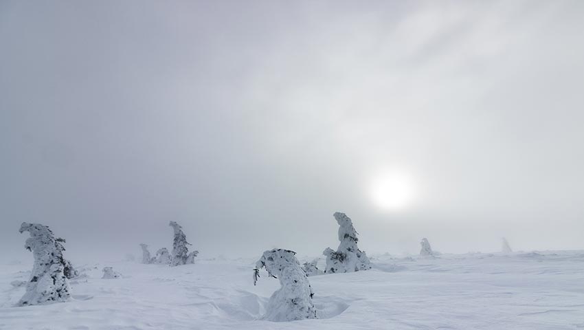 Польша зимой отдых фото видео 55